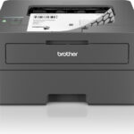 Brother HLL2445DW recenze