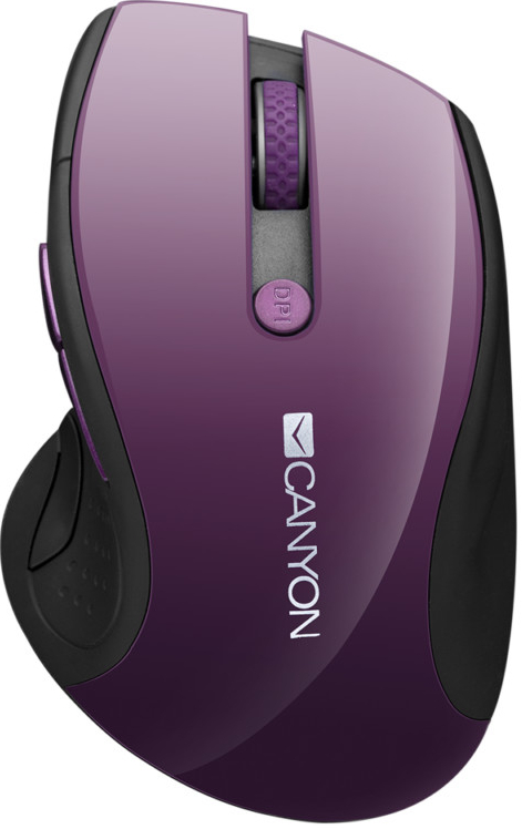 Canyon CNS-CMSW01P recenze