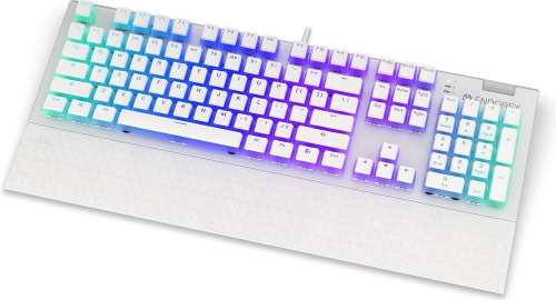 Endorfy Omnis OWH P. Kailh RD RGB EY5A036 recenze