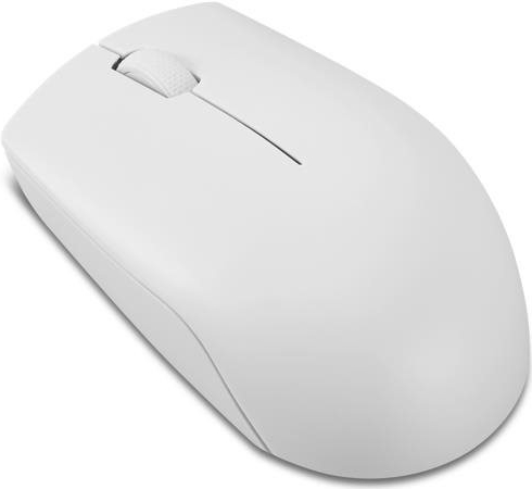 Lenovo 300 Wireless Compact Mouse GY51L15677 recenze